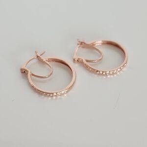 Rose Gold Hoop Post Earrings